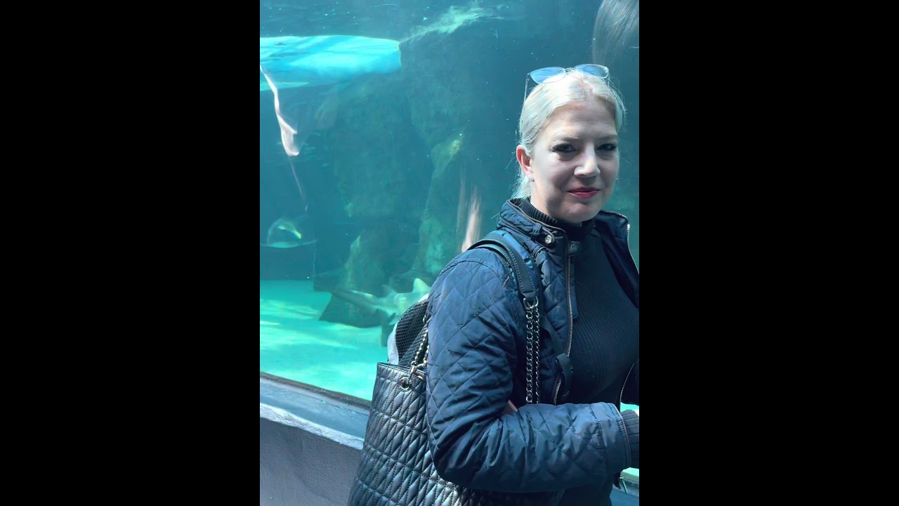 Dangerous Shark Diving in Cape Town Two Oceans Aquarium