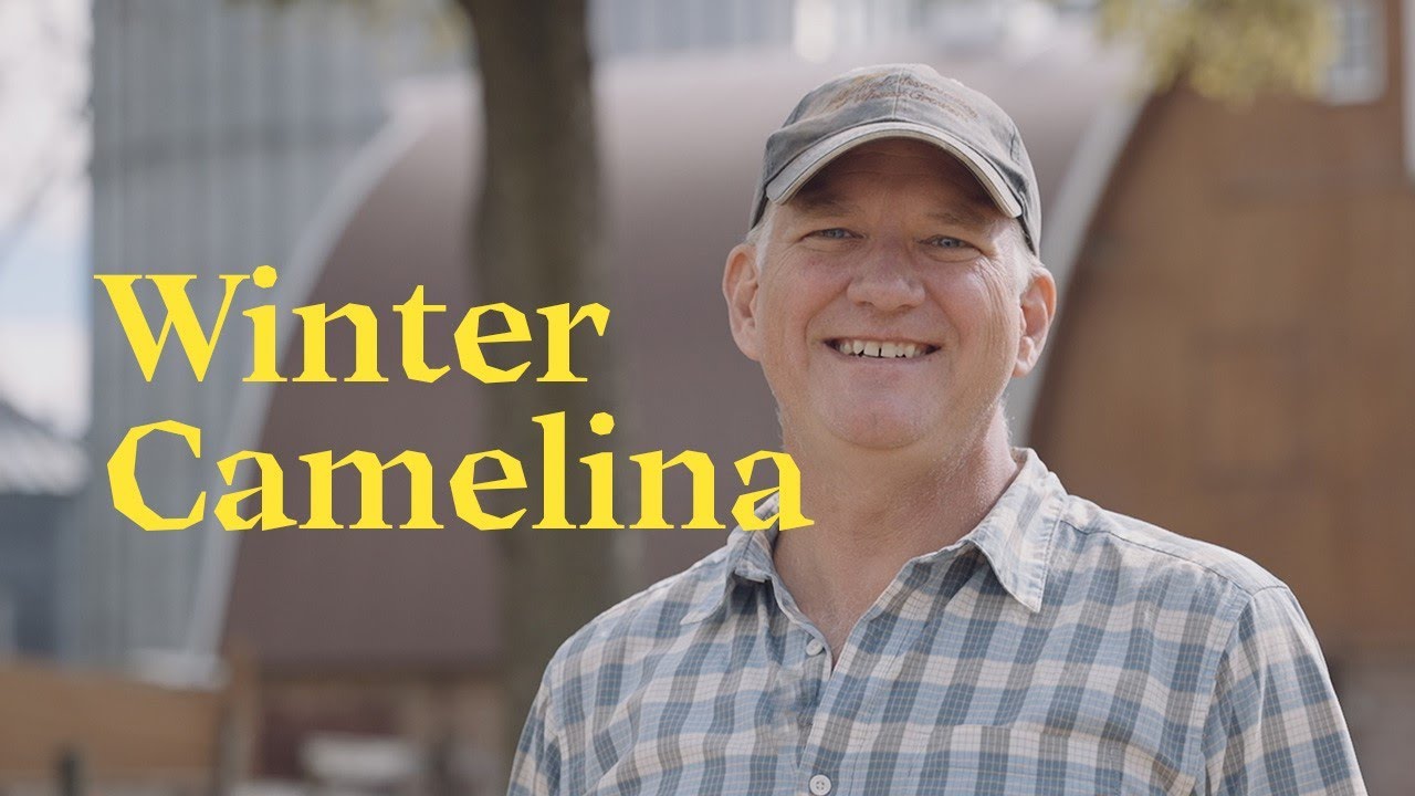 Sustainable Agriculture Series: Winter Camelina