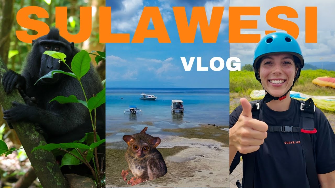 Exploring the Beauty of North Sulawesi (Tomohon, Bunaken & Tangkoko!)