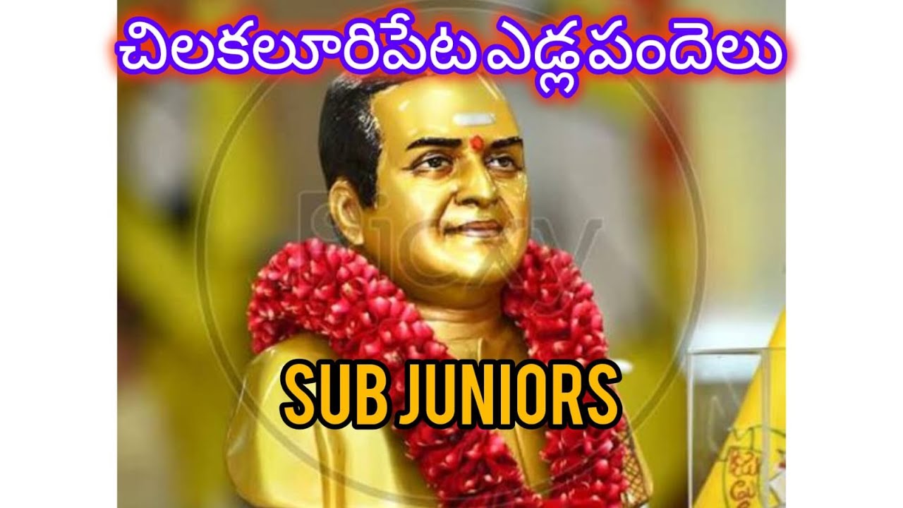 2 - SUB JUNIOR  విభాగం చిలకలూరిపేట|GLR  BULLS (సింగం &సింగమలయే)