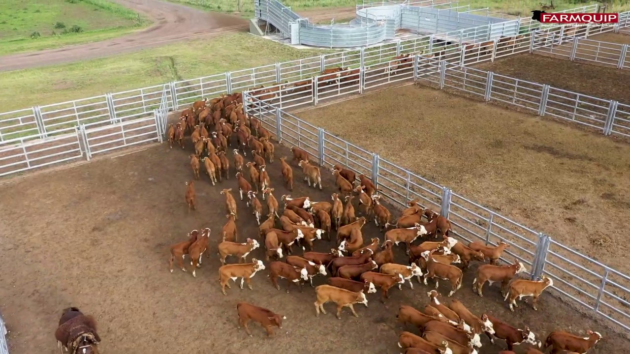Instalación completa Farmquip en Establecimiento 