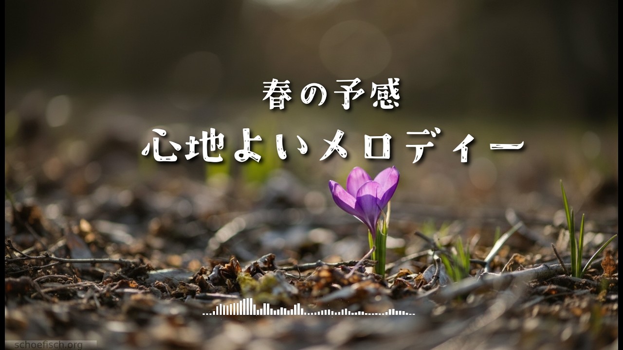 *【RELAXING♪】心地よいメロディー｜洋楽｜作業用｜ティータイム｜男女ボイス｜聞き流し約60分｜#BGM #雪 #リラクゼーション #心地よい音楽  #景色最高