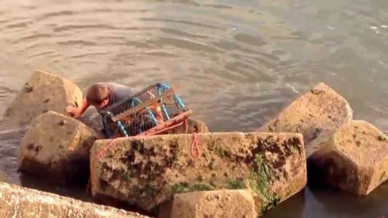 HARTLEPOOL FISHING WHAT COULD POSSIBLY GO WRONG  (FAIL)