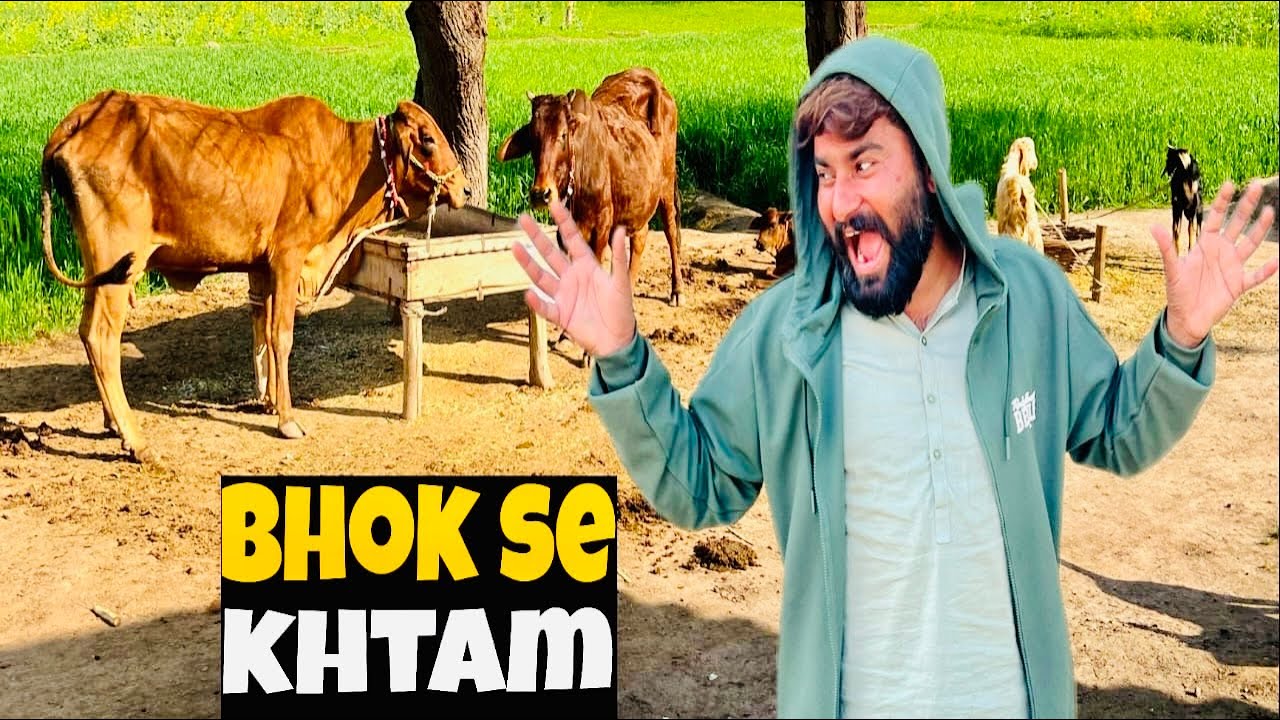 Gain Nhok se Khtam ho rahi 😳 | Nadeem Bukhari |