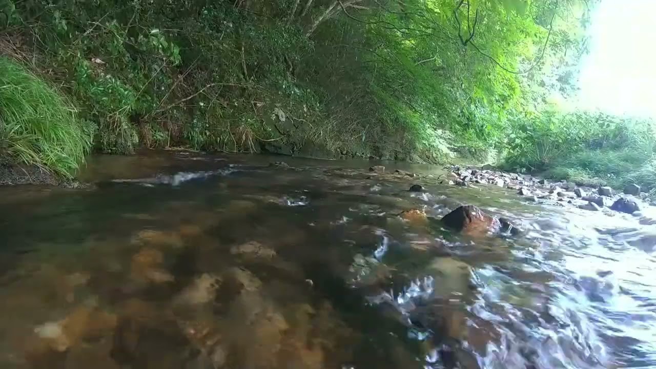 3 minute quiet riversound   #naturesounds #川の音#healingsounds  #riversounds #relaxingsounds