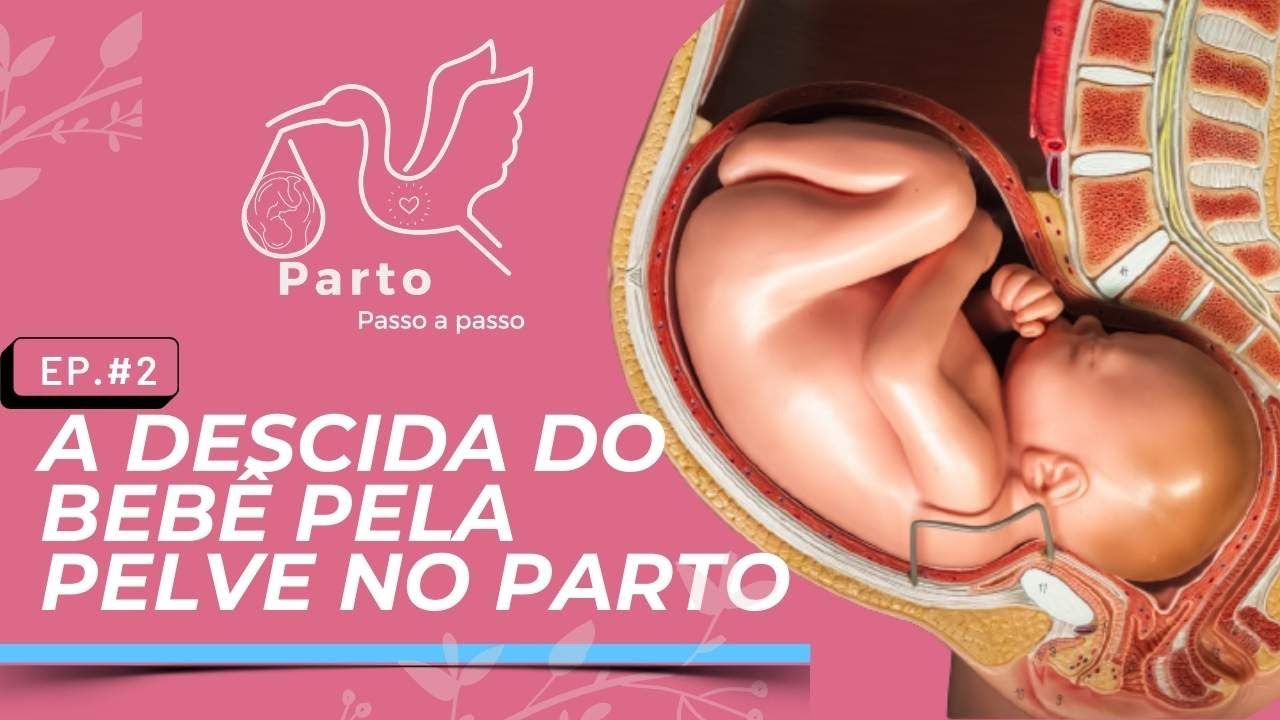 Série Parto Passo a Passo | Ep. #2: A Descida do bebê pela pelve no trabalho de parto