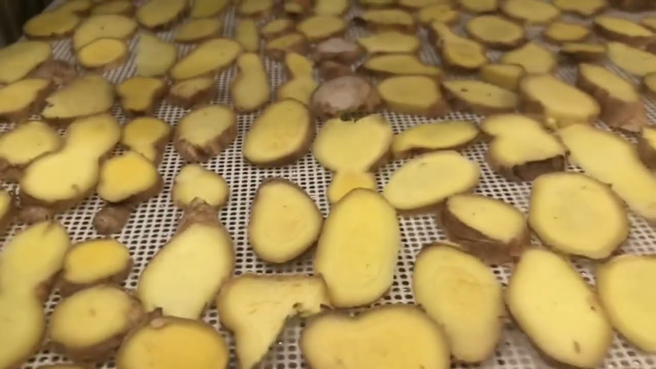 Dehydrating Ginger | Start To Finish