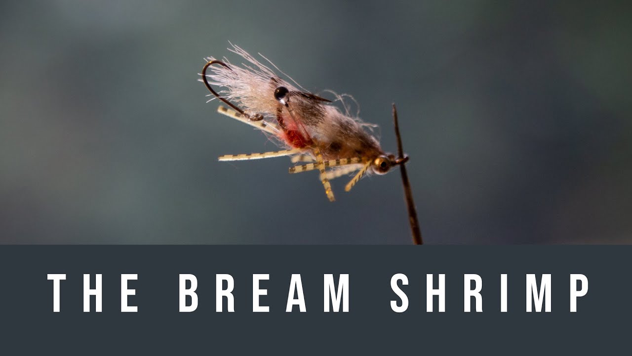 Fly Tying - The Bream Shrimp