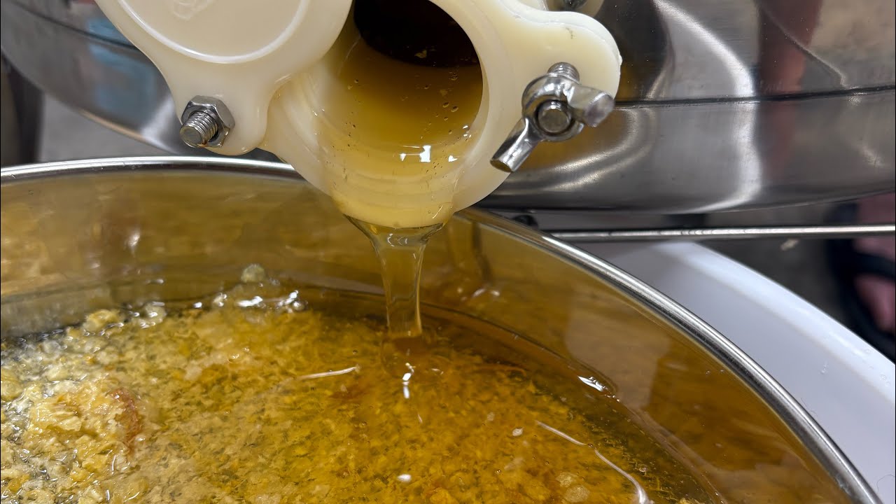 Honey Harvest 2025