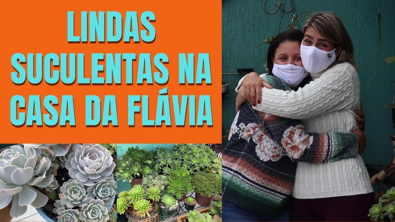 VISITANDO COLECIONADORA: TOUR pela SACADA com SUCULENTAS da minha amiga Flávia/Grazi Bittencourt