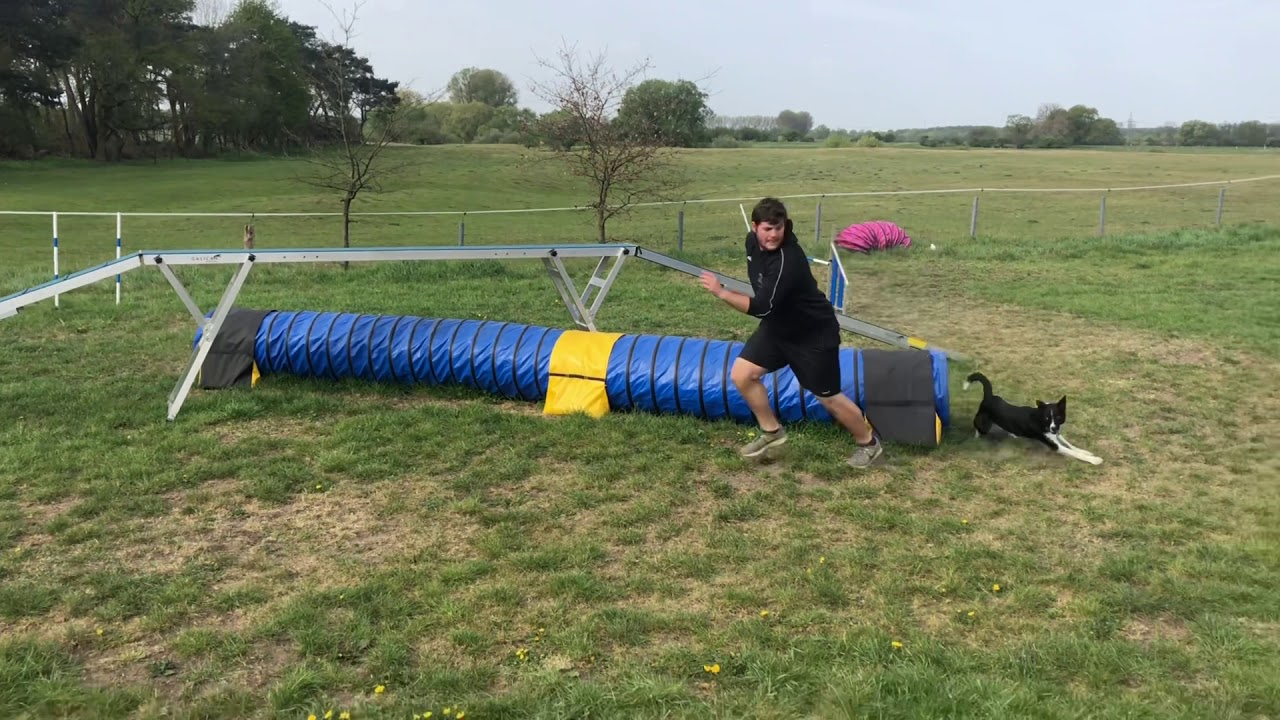 Style | Agility 2020