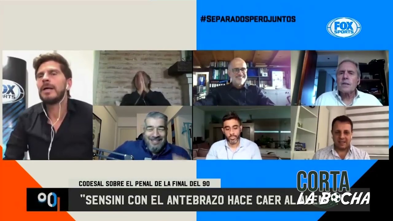 Codesal, el &aacute;rbitro dificil de olvidar.
