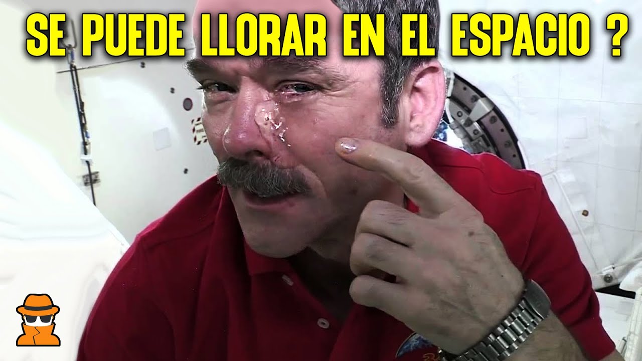 10 Preguntas Curiosas en 10 Minutos #7