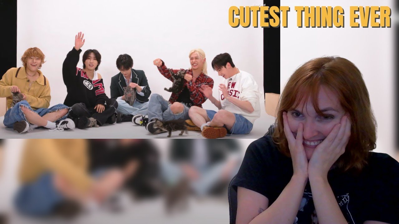 Stray Kids: The Kitten Interview REACTION!!