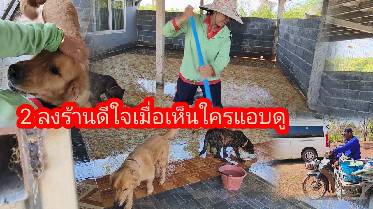 ฝนมาต้องเคลียร์ที่นอน 2 ลุงหลาน#ป้าแต๋นชาเเนล 