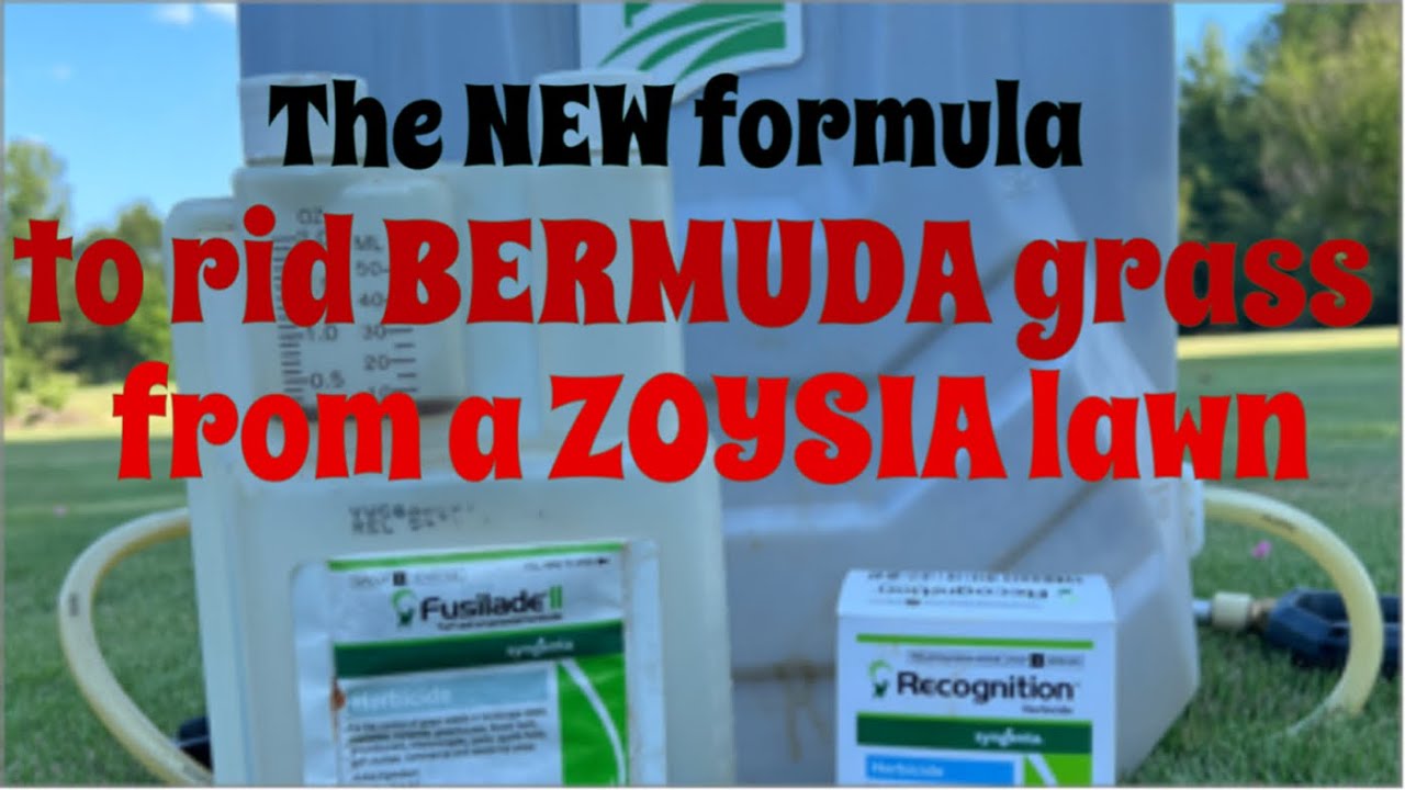 The new formula to remove Bermuda grass from a Zoysia lawn