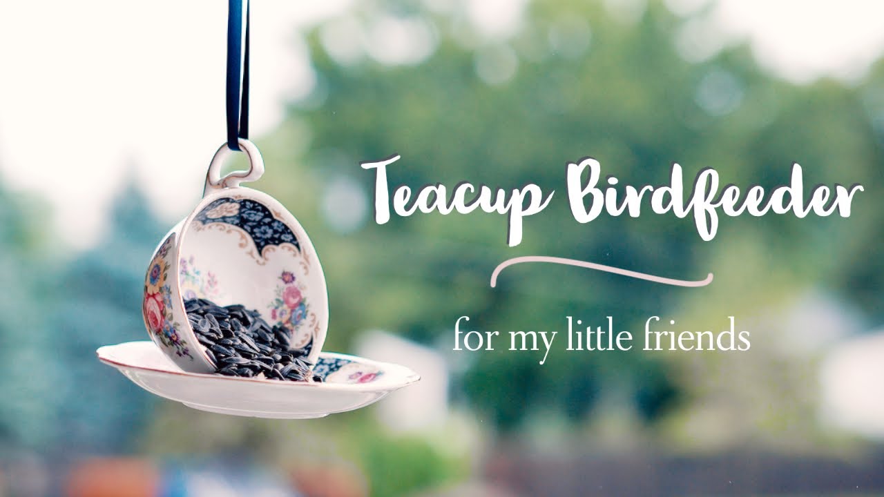 How to Make a Teacup Bird Feeder (it's actually possible!)