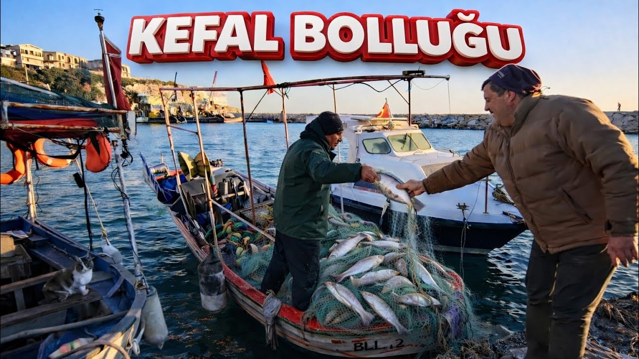AĞLARIN HER GÖZÜNDE KEFAL?