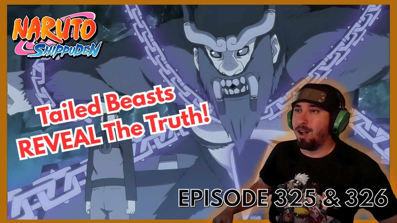 The Tailed Beasts’ Secrets Revealed! | Naruto Shippuden Reaction (325 & 326)