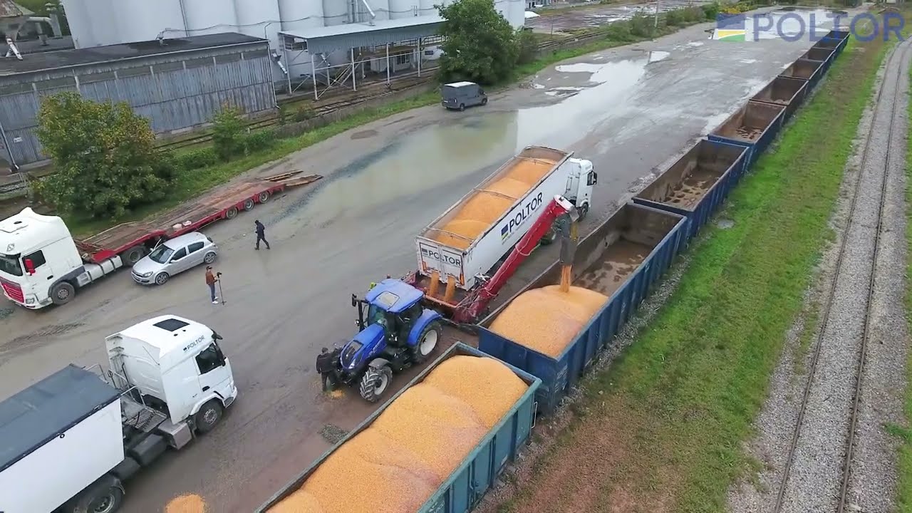 POLTOR - skup kukurydzy oraz załadunek pociągu, październik 2024