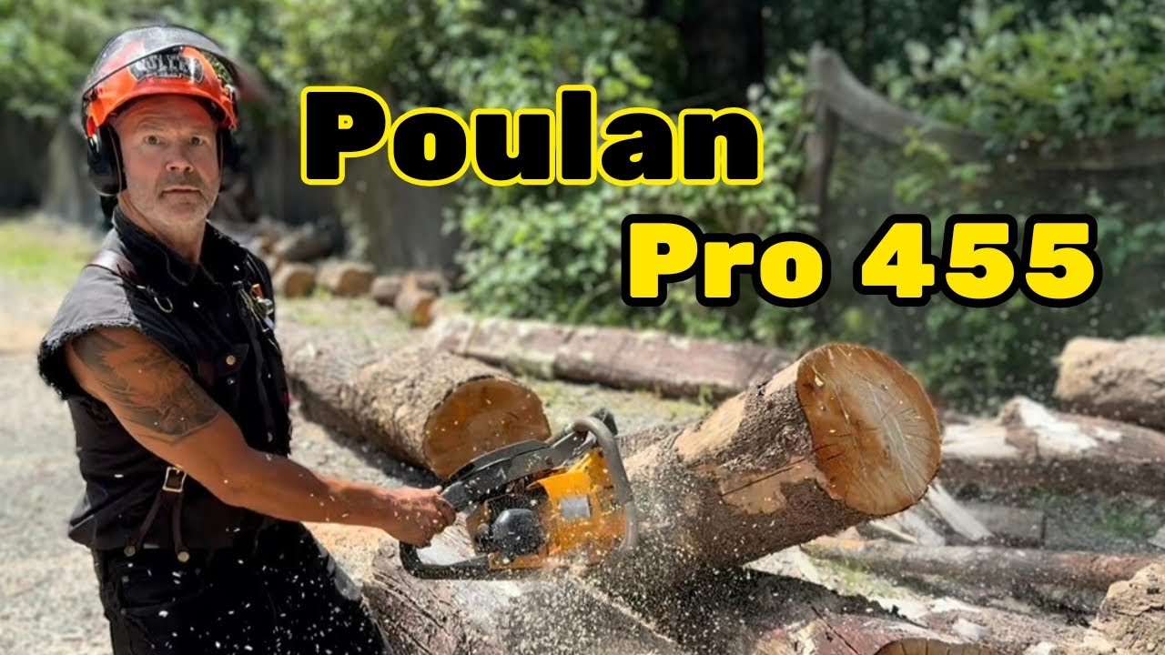 Old Poulan Chainsaw VS Hardwood