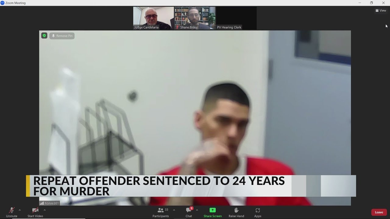 Repeat offender sentenced to 24 years for murder