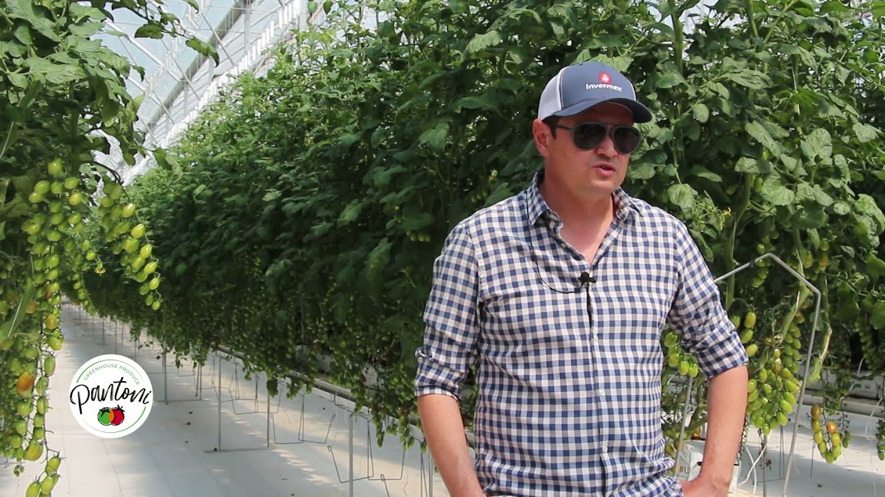 Crecimiento en Agr&iacute;cola Pantoni con Invermex