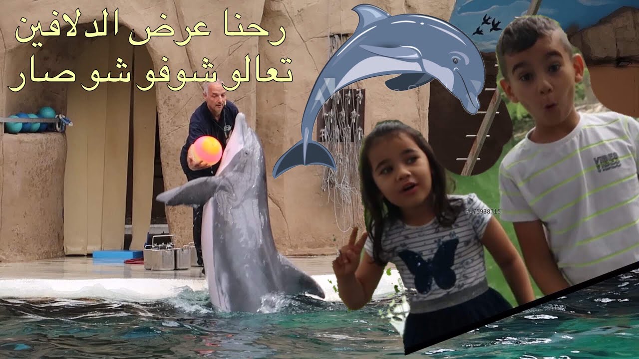 رحنا لأجمل عرض دلافين  🐬🐬- Dolphin Show in Germany