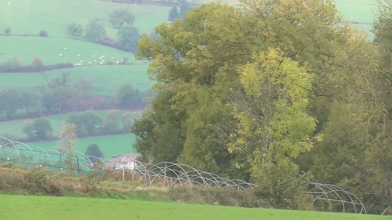 chasse au lièvre du samedi 5 novembre avec les brunos du jura de richard ploivy