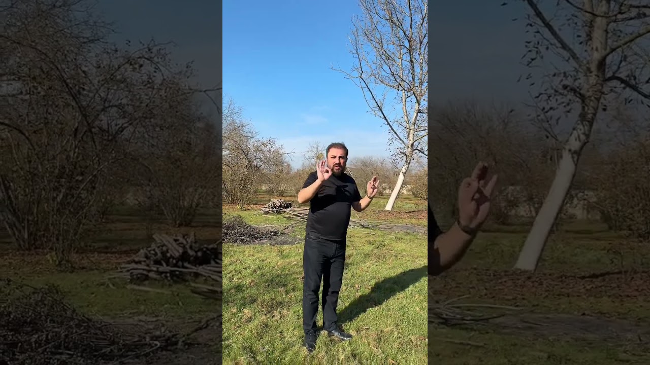 Oğuz Rayonu Kərimli kəndində 1.5 hektar fındıq bağı bə 2 evlə birlikdə satılır tikinti təyinatlıdır