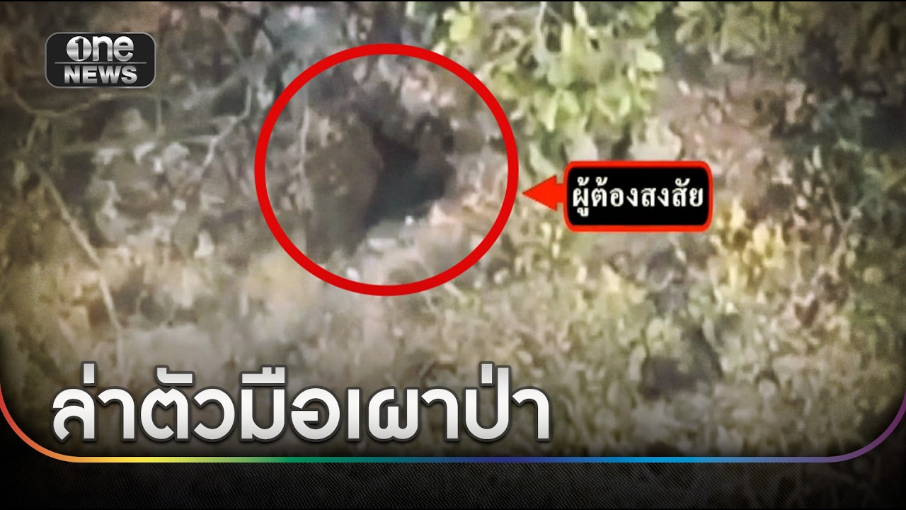 โดรนส่องเห็น 
