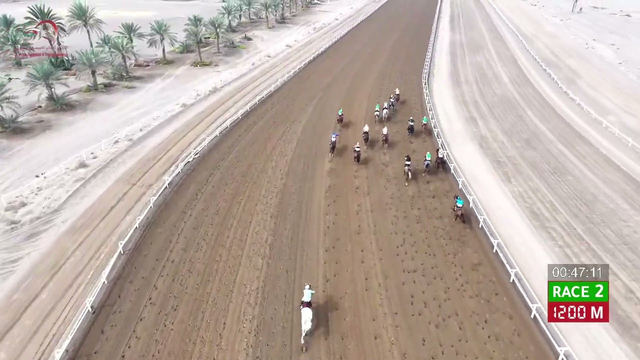 Race 2 - 16th Meeting - Rahba - 06/02/2026
