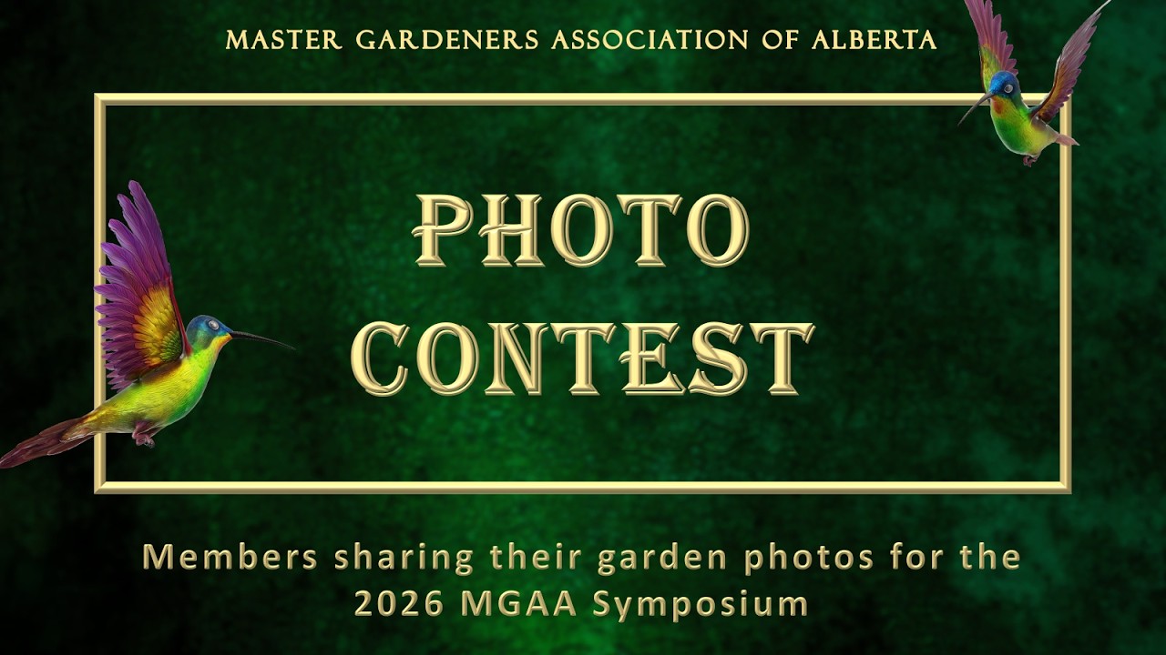 2026 MGAA Symposium Photo Contest  and Winners