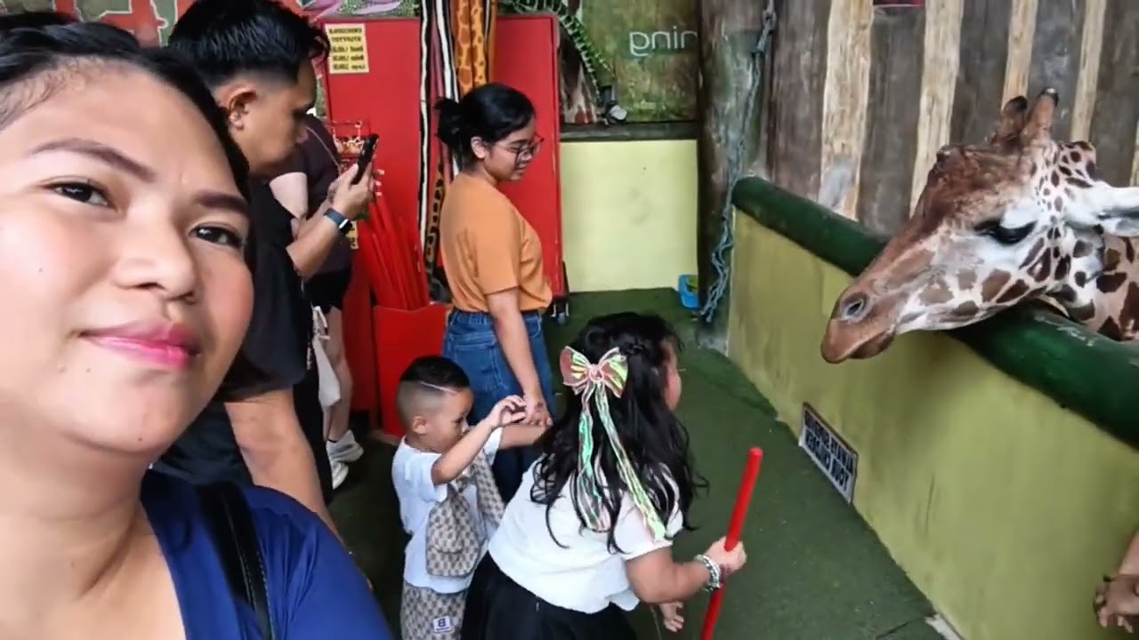 Finding happinesaa at Avilon Zoo