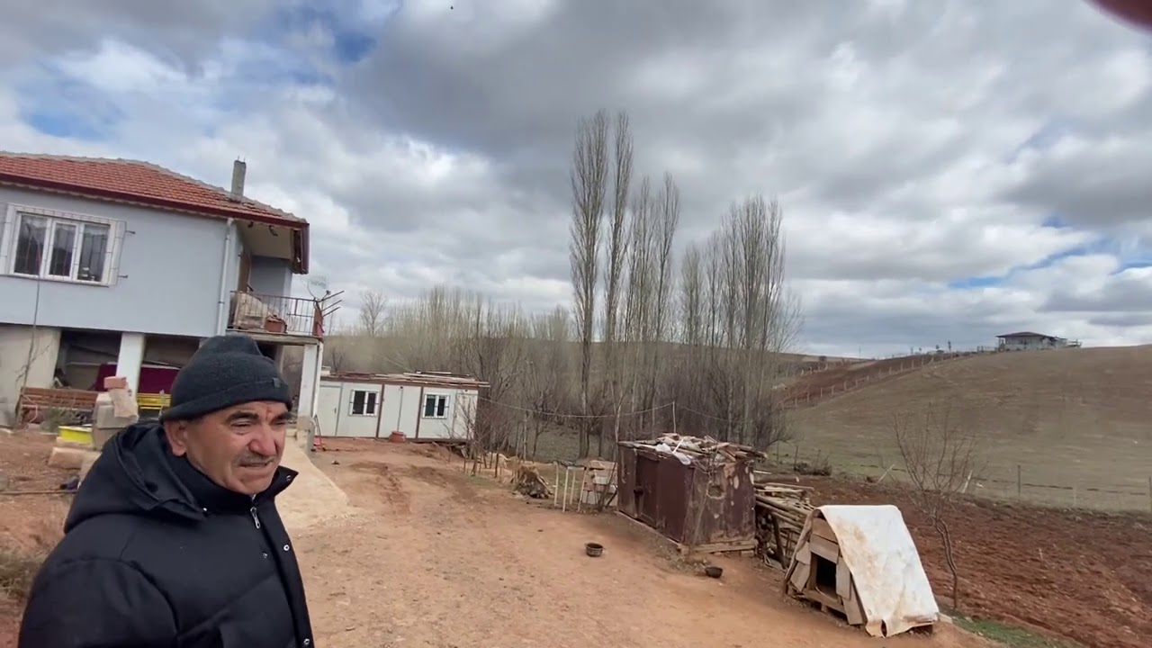 İzzet nalcı abimi ziyaret | Güvercin | Oyun Kuşu |