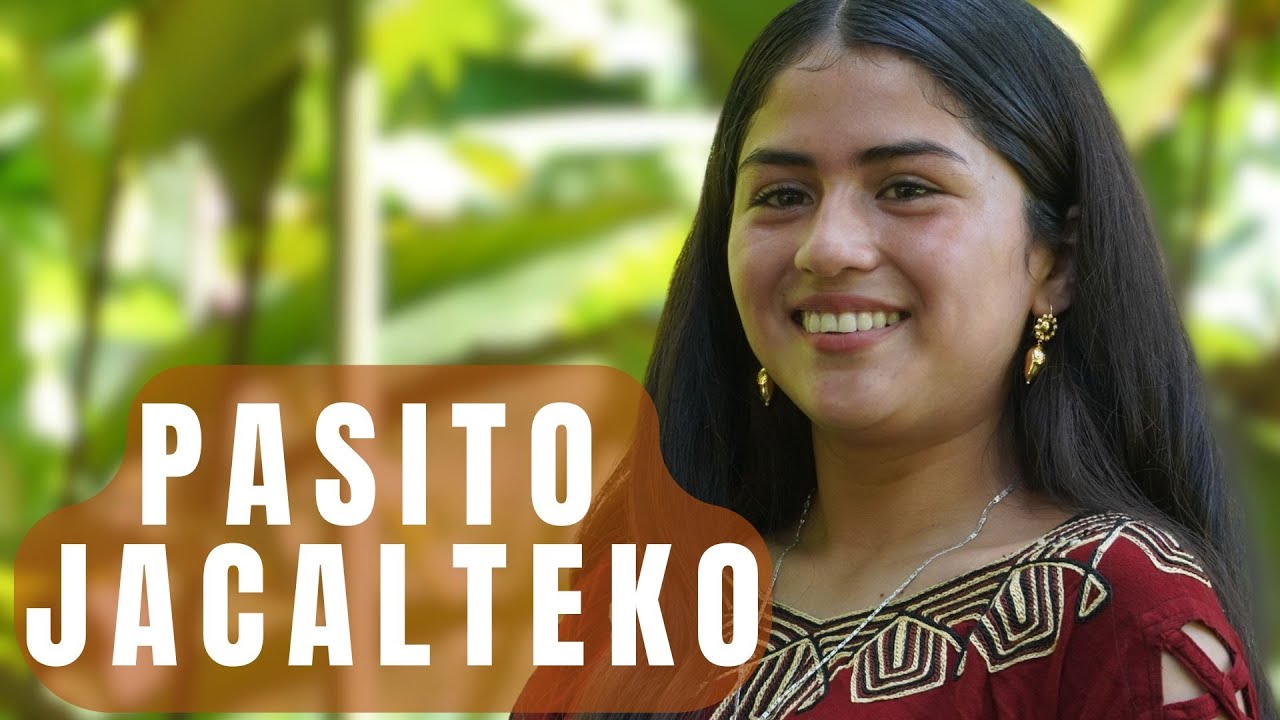 PASITO JACALTEKO, Delegación Musical JOSESITO -OFICIAL-