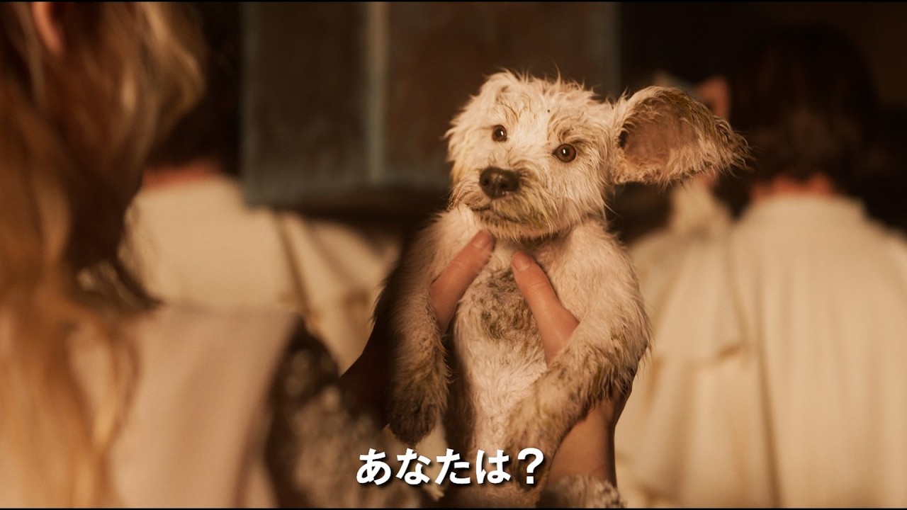 “スーパー”可愛い！『スーパーガール』子犬クリプトの初登場映像解禁
