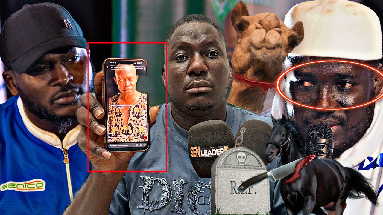 Ay Sacrifice You Bone La Sathies Def Pour Dane Modou Lo Thiedo Balance Tout Lima Guiss