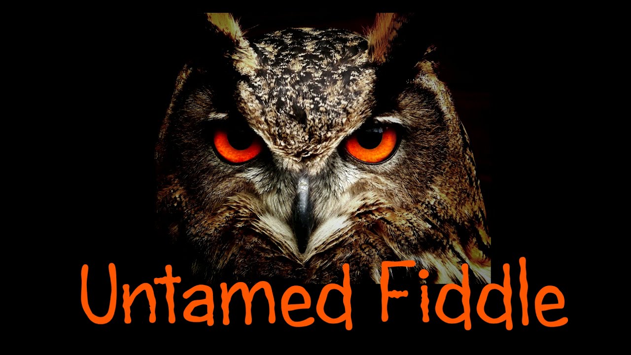The Untamed Fiddle - Full length version