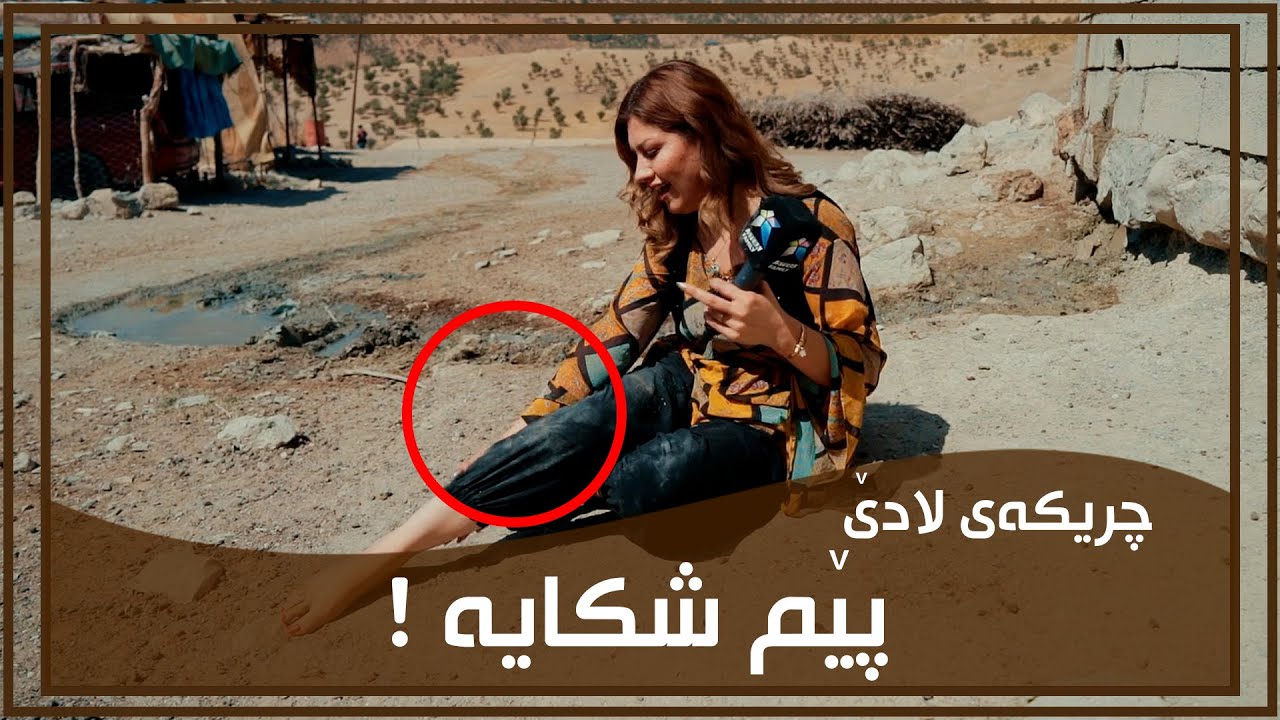 به‌ربوونه‌وه‌كه‌ی نیگار، له‌سه‌ر گوێدرێژ هۆكاره‌كه‌ی چیه‌ و چۆن به‌ربویه‌وه‌ ؟ 😅