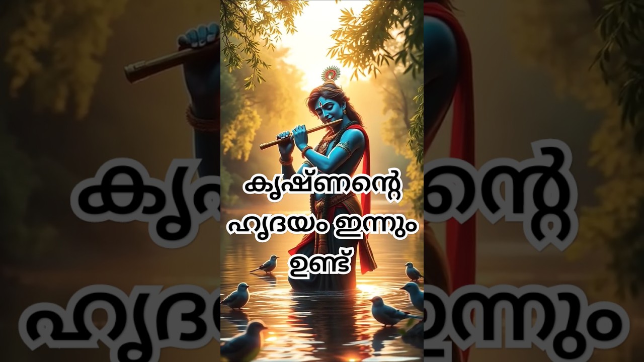 കൃഷ്ണന്റെ ഹൃദയം ഇന്നും നശിക്കാതെ ഉണ്ട് എന്ന് പറഞ്ഞാൽ വിശ്വസിക്കുമോ #krishna #shorts #shortvideo