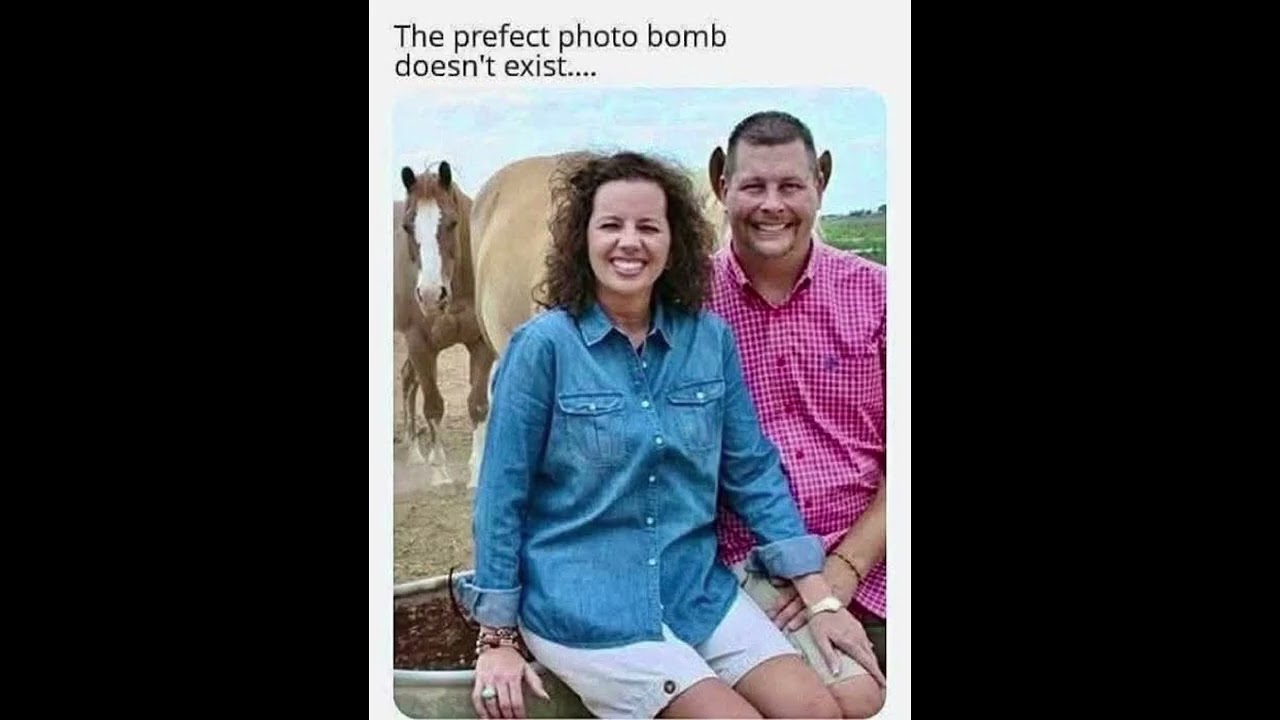 😆Funny Memes, Puns & Jokes - Episode 118 😆 BIG Compilation 😆Best On the Internet! 😆 TRY NOT TO LAUGH