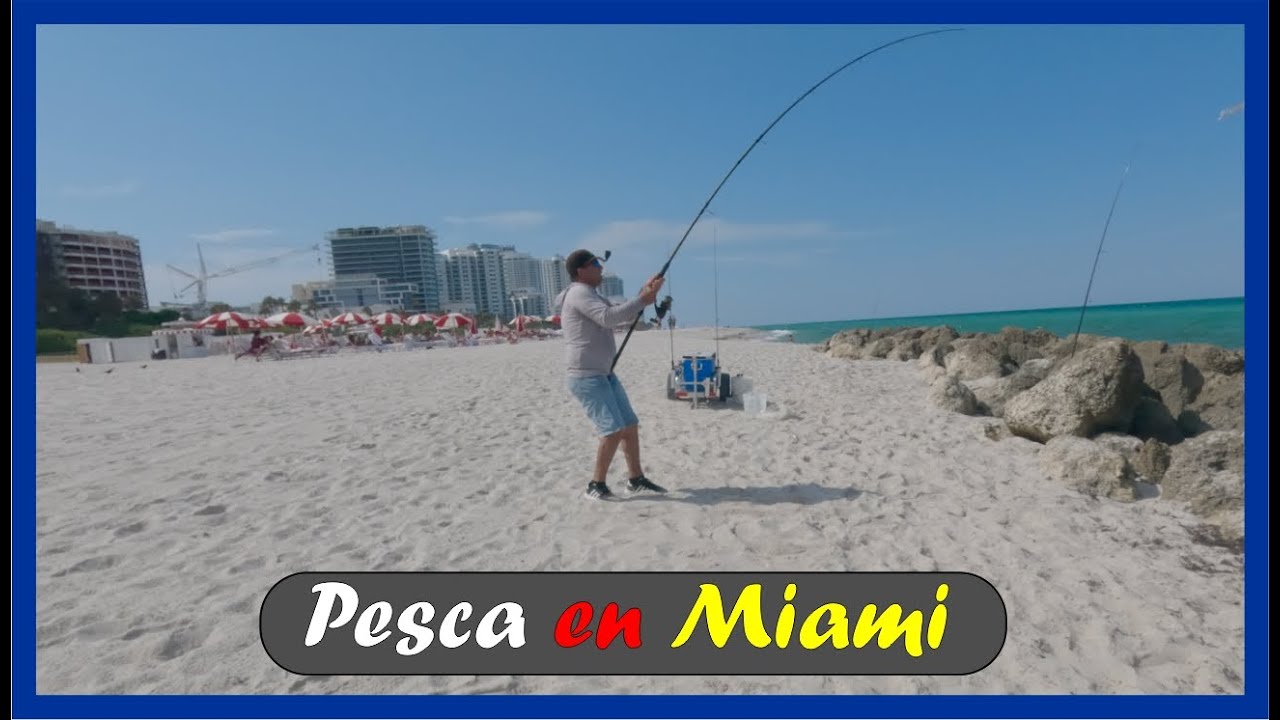 Pesca de barracudas en Miami Beach: la guía definitiva