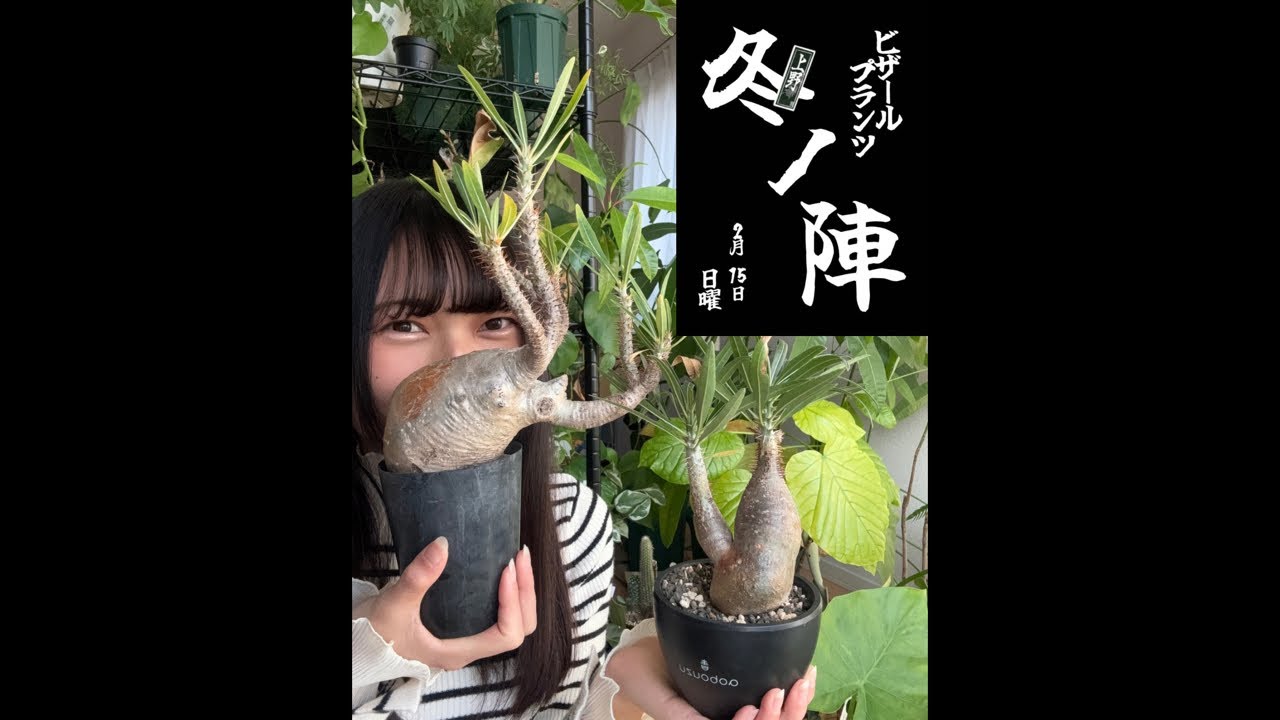【🚨緊急Live🚨】誰かから何かが届いた！！！！