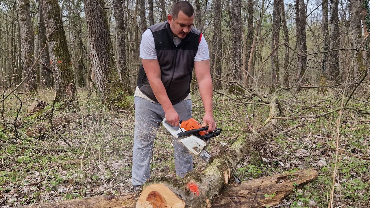 Priprema drva za zimu - STIHL MS231 i Husqvarna 365 X-Torq®