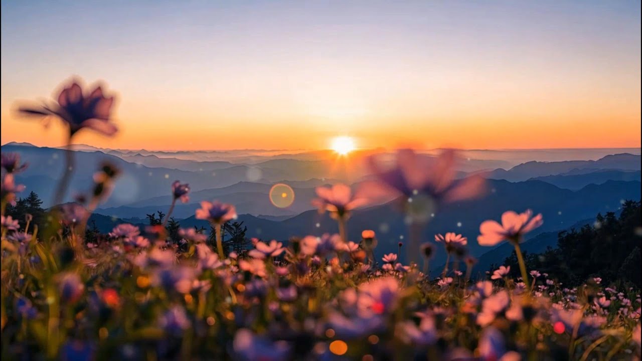When Your Thoughts Won’t Stop 🌿 Celtic Music to Ease the Mind