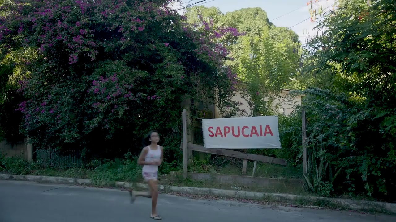 Silva - Sapucaia (Long version)