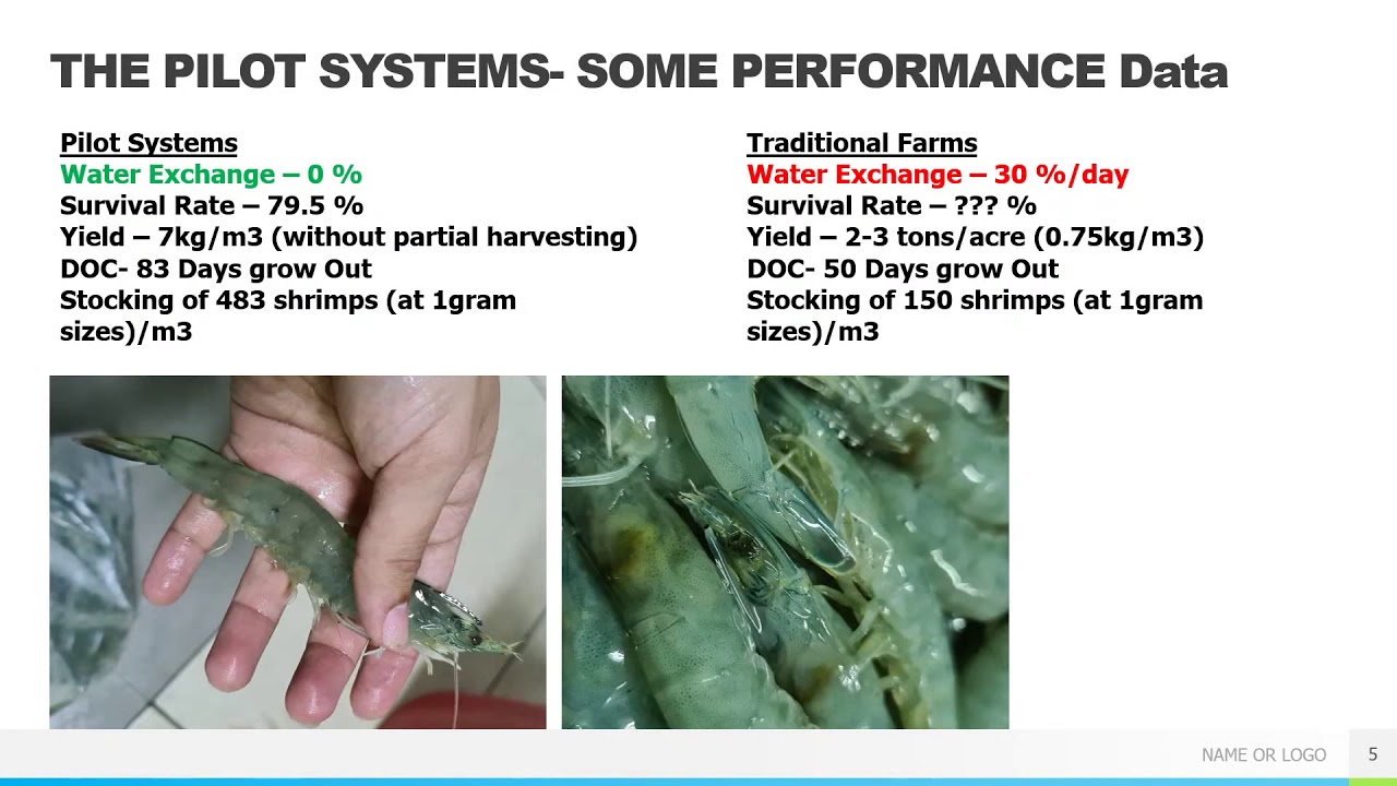 Consumables For Shrimp Culture
