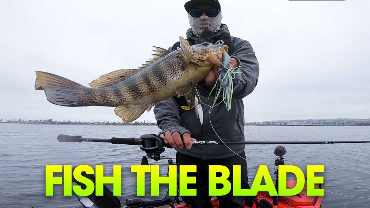 Beach Bite was 🔥🔥!!  |  Spotted Bay Bass  |  Mission Bay