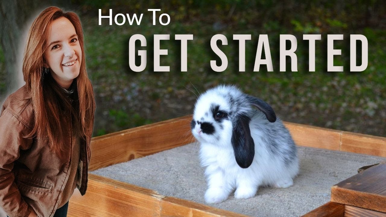 HOW TO START A RABBITRY? - Get My 5 Best Tips